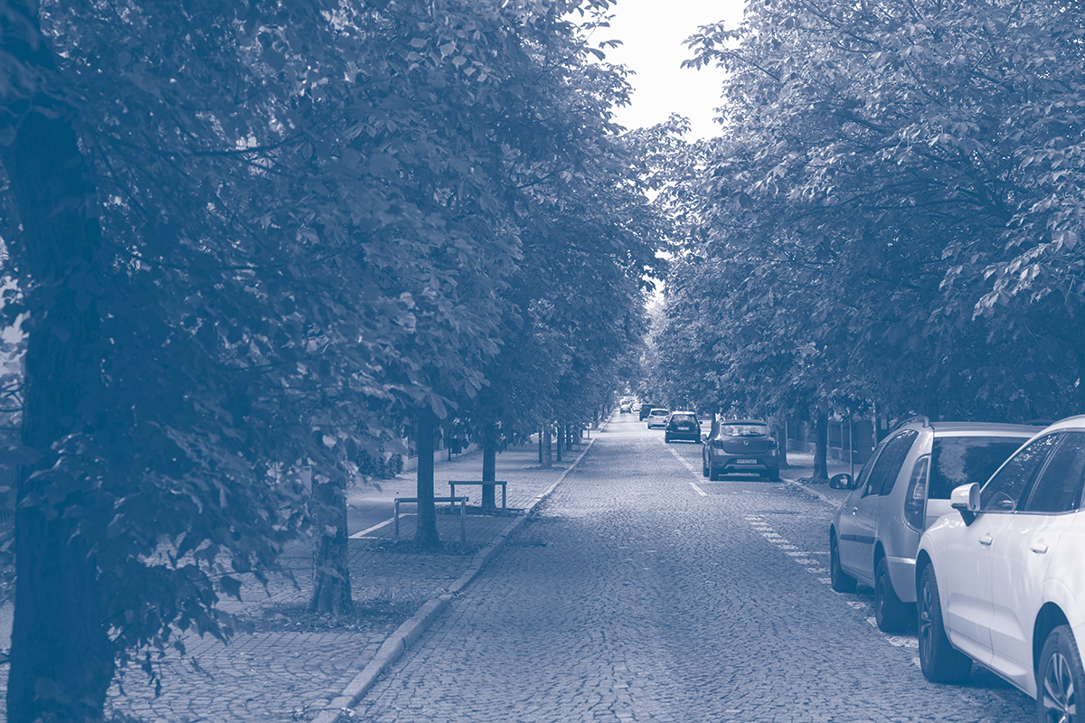 ulica z drzewami i samochodami 