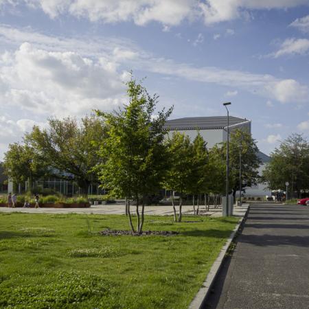 P. Ornatowska, pl. Teatralny w Opolu, 2021