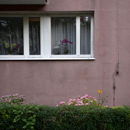 P. Ornatowska, pl. Teatralny w Opolu, 2021