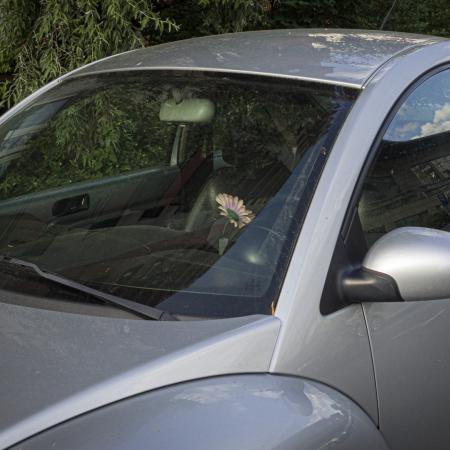 P. Ornatowska, pl. Teatralny w Opolu, 2021