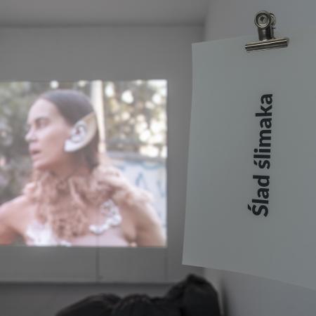 wystawa Ślad ślimaka Alicja Czyczel 05