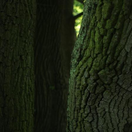 IMG_9437_0 (Średni)