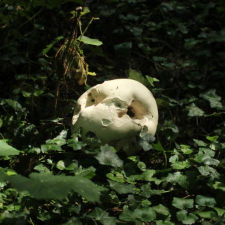 IMG_9761_0 (Średni)