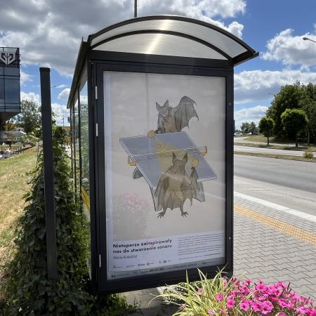 wiata przystankowa z ilustracją w ramach ILUSTRAGAN 10. Nauka: wystawa na miejskich wiatach przystankowych i citylightach