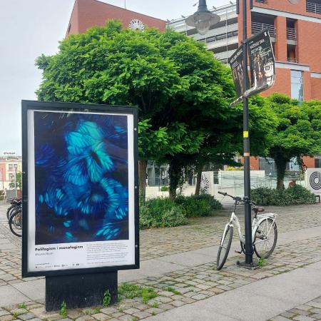 citylight z ilustracją w ramach ILUSTRAGAN 10. Nauka: wystawa na miejskich wiatach przystankowych i citylightach