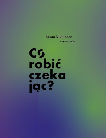 baner do wystawy adama niklewicza