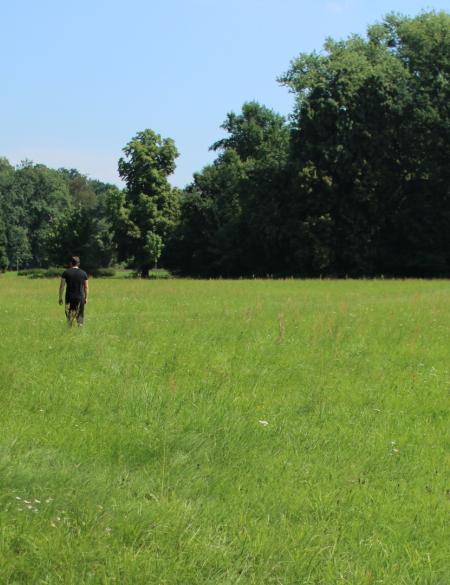 zdjęcie pokazuje postać stojącą na łące 