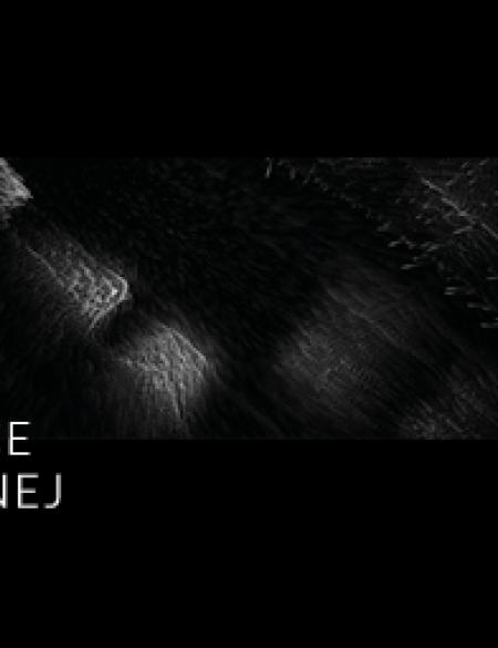 bannerek do wykładu, tytuł.