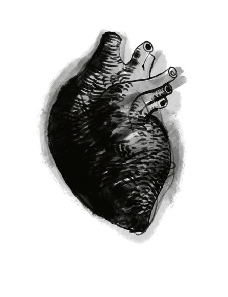 trzos_miszczyszyn_650x900_www