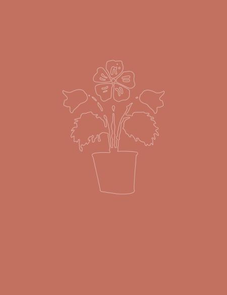 www-w-poszukiwaniu agaty