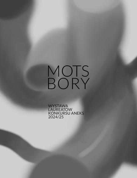 baner informacyjny, szare tło, napis Mots, Bory, konkurs aneks 2024/25