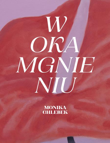 banerek informacyjny, w tle sugestia czerwonego materiału, napis: w okamgnieniu, monika chclebek