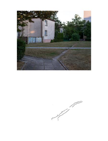 zdjęcie ukazuje fragment bloku mieszkalnego w tle a na pierwszym planie ścieżka wydeptana przez ludzi w trawniku