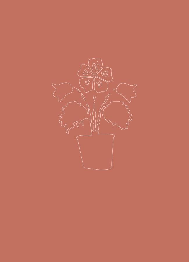 www-w-poszukiwaniu agaty