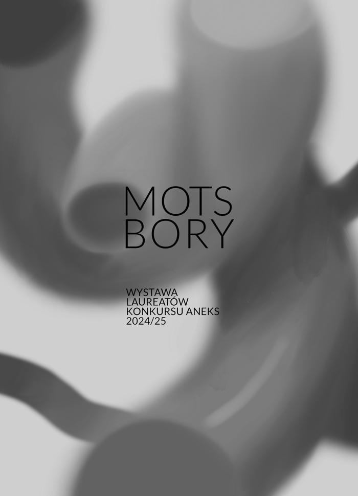 baner informacyjny, szare tło, napis Mots, Bory, konkurs aneks 2024/25