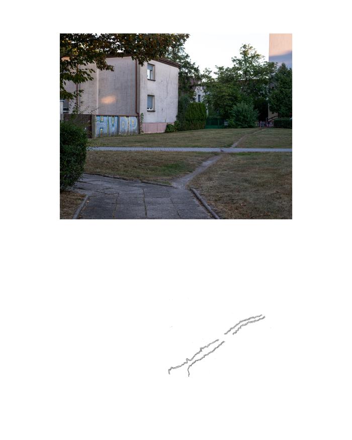 zdjęcie ukazuje fragment bloku mieszkalnego w tle a na pierwszym planie ścieżka wydeptana przez ludzi w trawniku