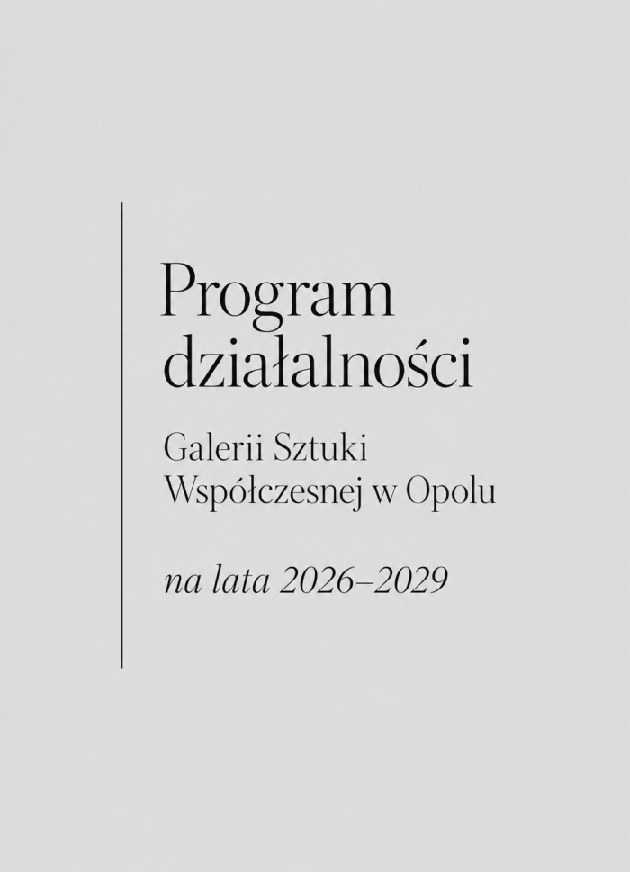baner z napisem program działalności GSW na lata 2026-2029, szare tło